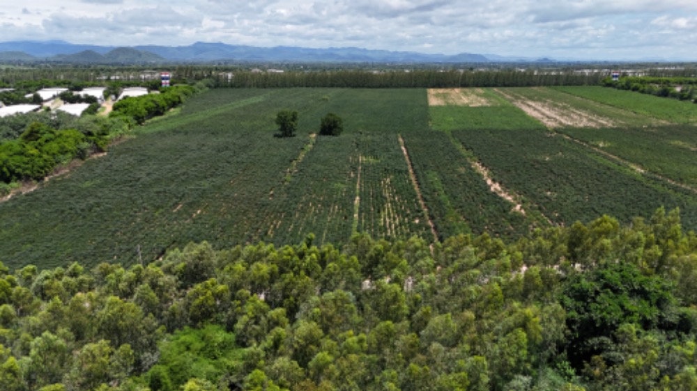 ขายที่ดินแปลงใหญ่ เนินเขาน้ำไม่ท่วม 76-2-28ไร่  เบิกไพร จอมบึง ราชบุรี เหมาะสร้างโกดัง โรงงาน โซลาร์ฟาร์ม โครงการ โปรเจคใหญ่ๆ