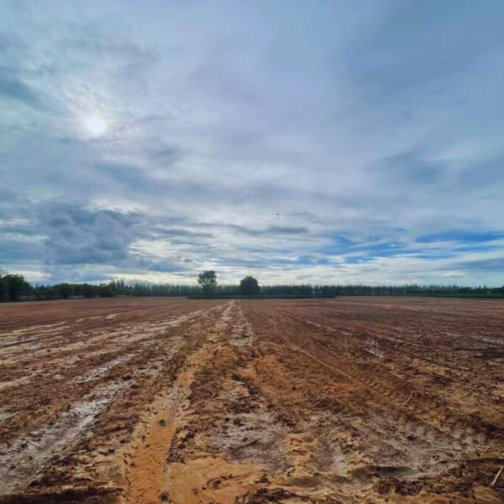 ขายที่ดินแปลงใหญ่ เนินเขาน้ำไม่ท่วม 76-2-28ไร่  เบิกไพร จอมบึง ราชบุรี เหมาะสร้างโกดัง โรงงาน โซลาร์ฟาร์ม โครงการ โปรเจคใหญ่ๆ