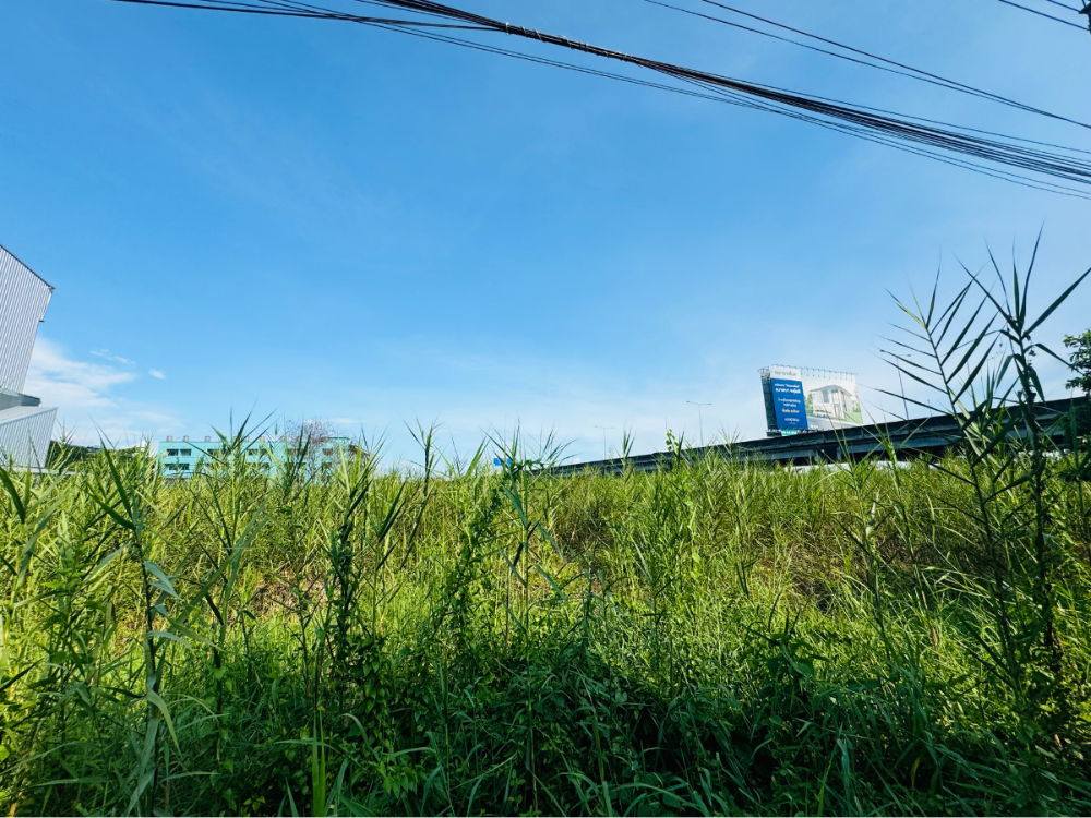 ขายที่ดิน ซอยจตุโชติ6 แปลงสวย เนื้อที่ 265ตารางวา น่าซื้อเก็บมาก