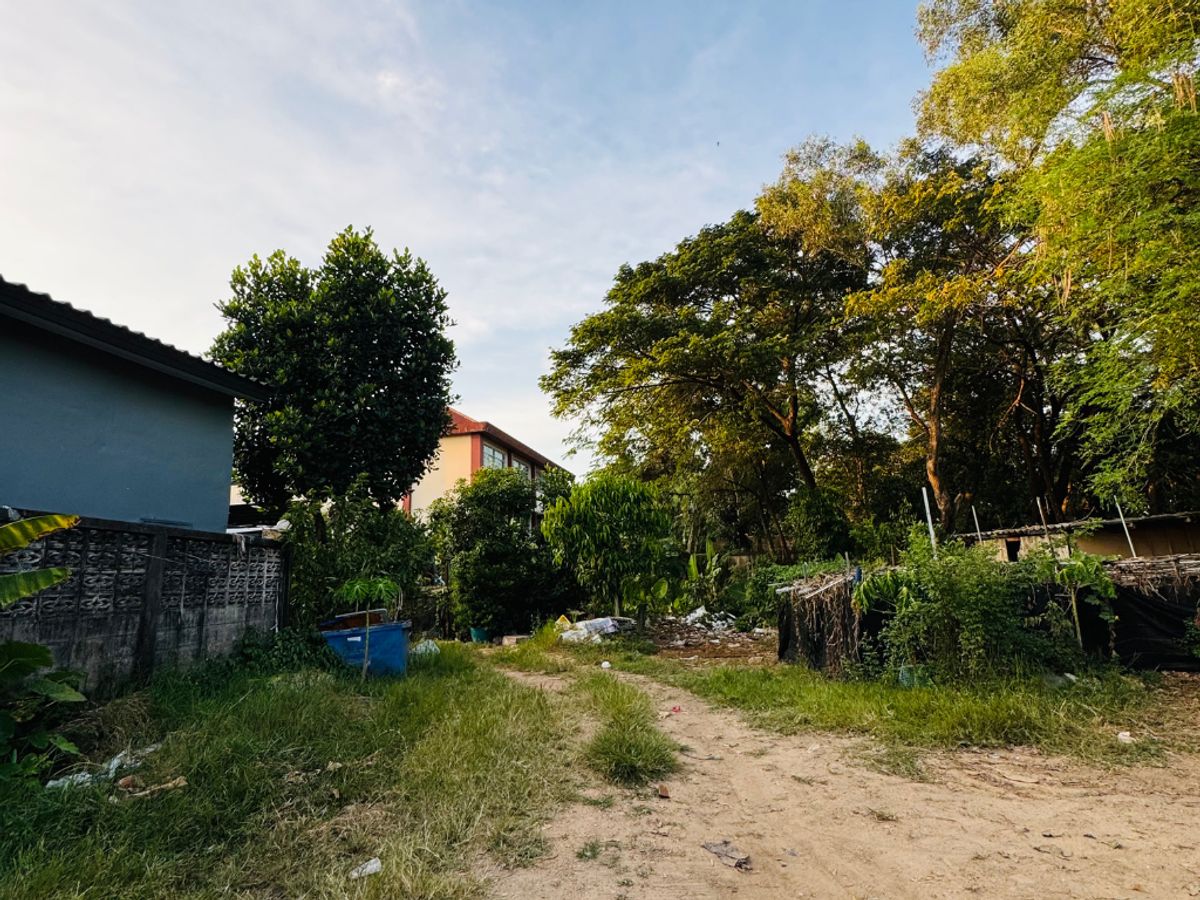 ขายที่ดินหาดใหญ่ 101ตารางวา แปลงสี่เหลี่ยนสวย เพียง 3.4ล.บ.