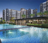 banner-project-details