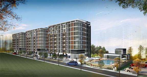 banner-project-details