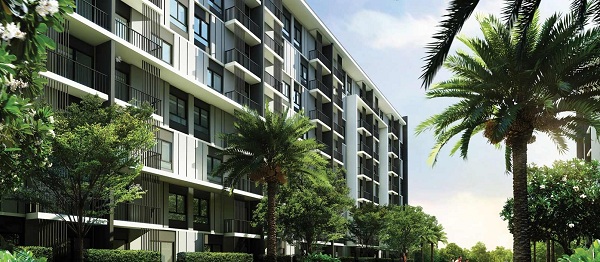 banner-project-details