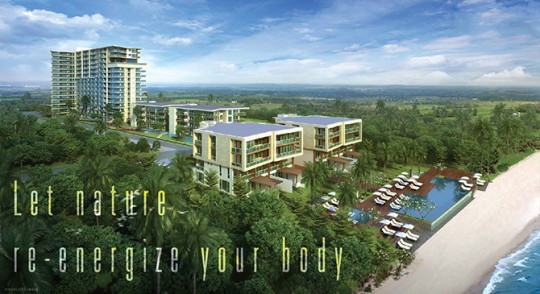 banner-project-details