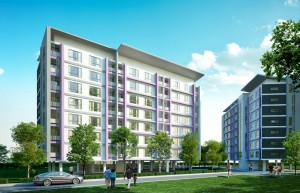 banner-project-details