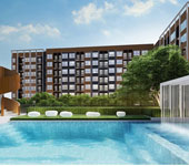 banner-project-details