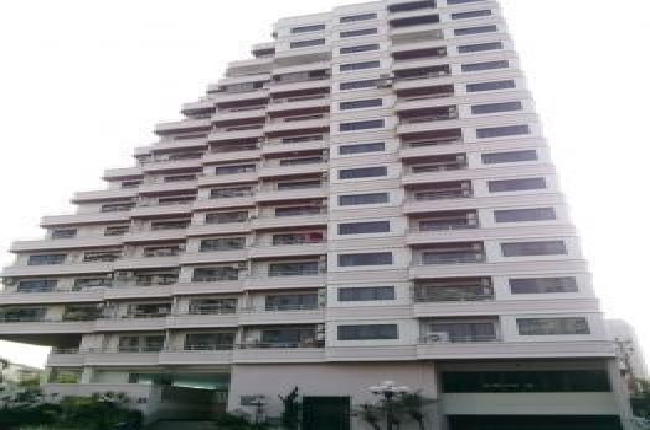 banner-project-details