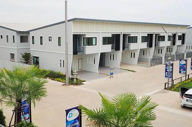 banner-project-details