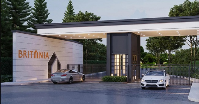 banner-project-details