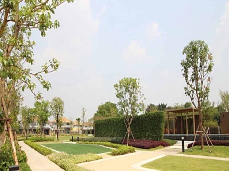 Delight-Scene-Watcharaphol-Jatuchot