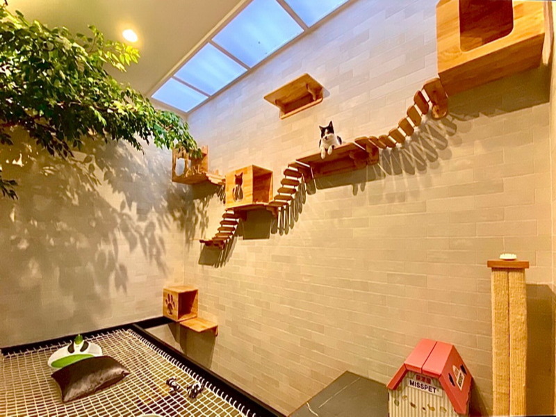 ลักซ์-วิลล์-สาธุประดิษฐ์-12