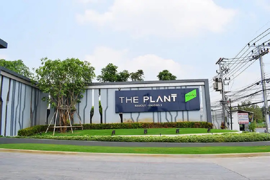 The-Plant-Rangsit-Klong-3