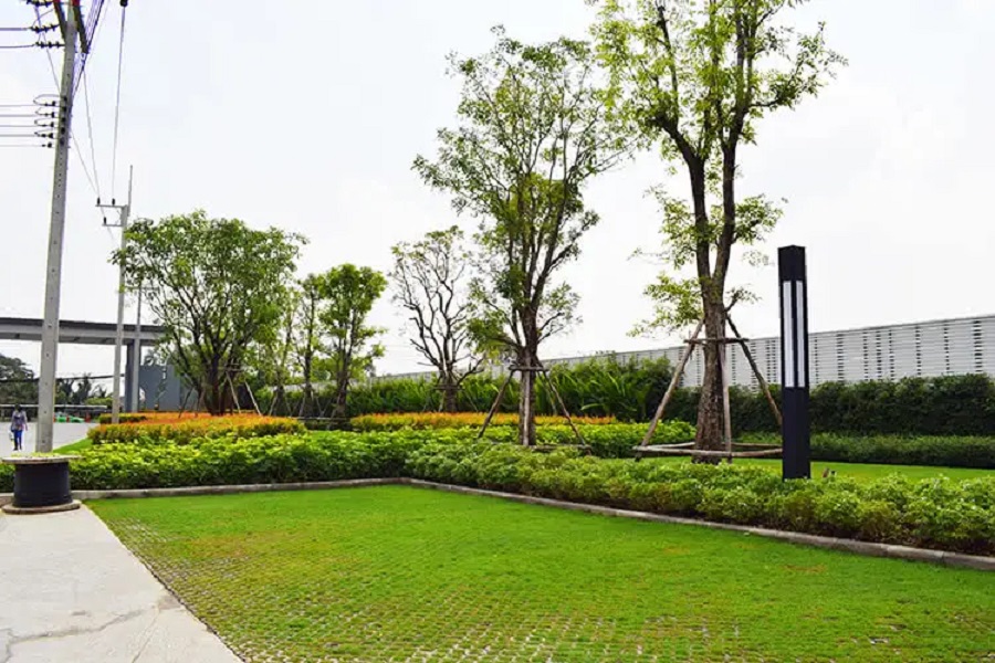 The-Plant-Rangsit-Klong-3