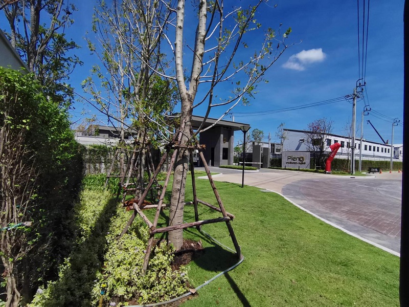 Pleno-Ramintra-Chatuchot