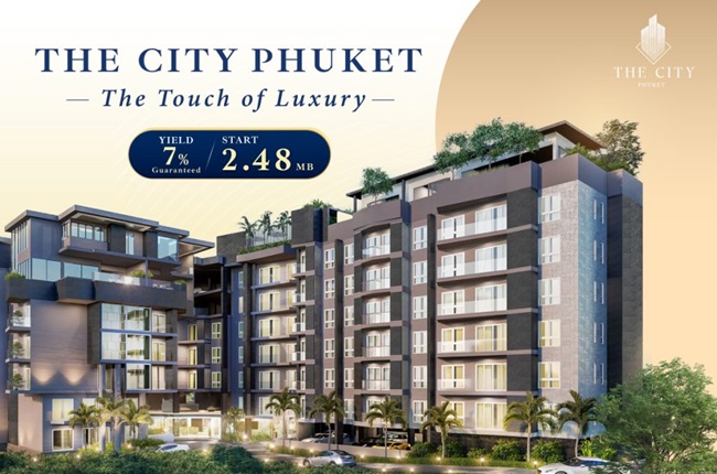 banner-project-details