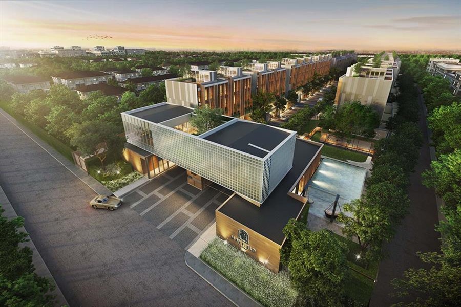 เมย์ฟิลด์-ปิ่นเกล้า