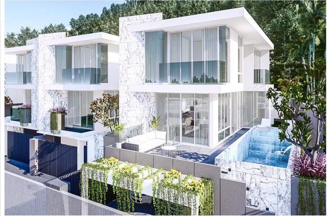 banner-project-details