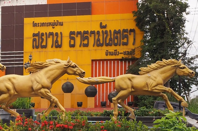 banner-project-details