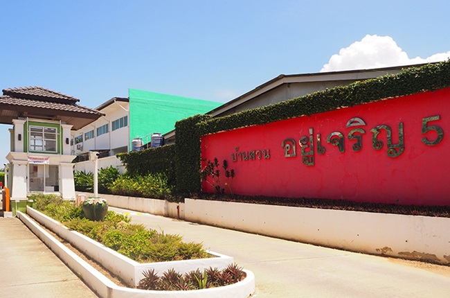 banner-project-details