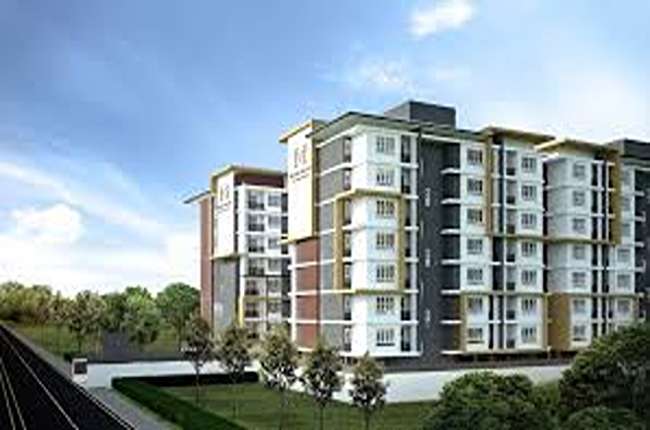 banner-project-details