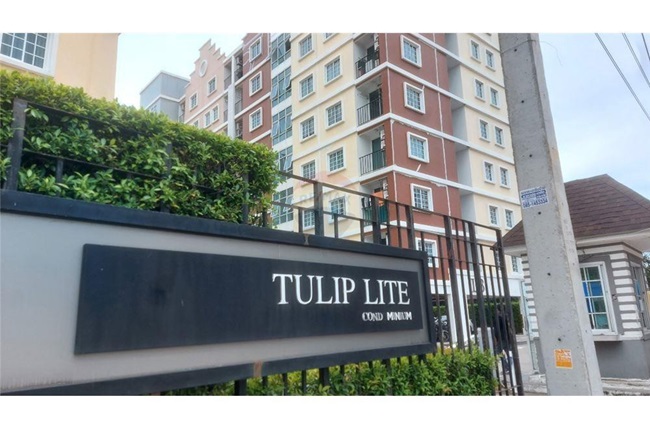 banner-project-details