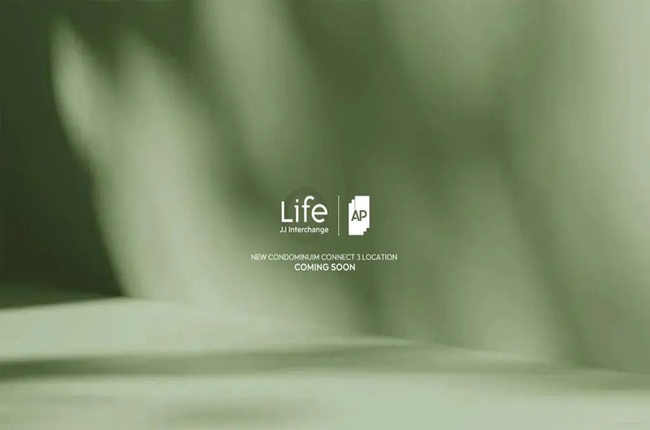 banner-project-details