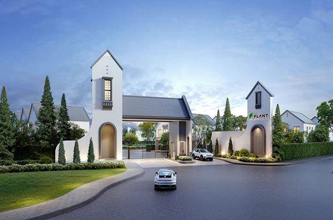 banner-project-details