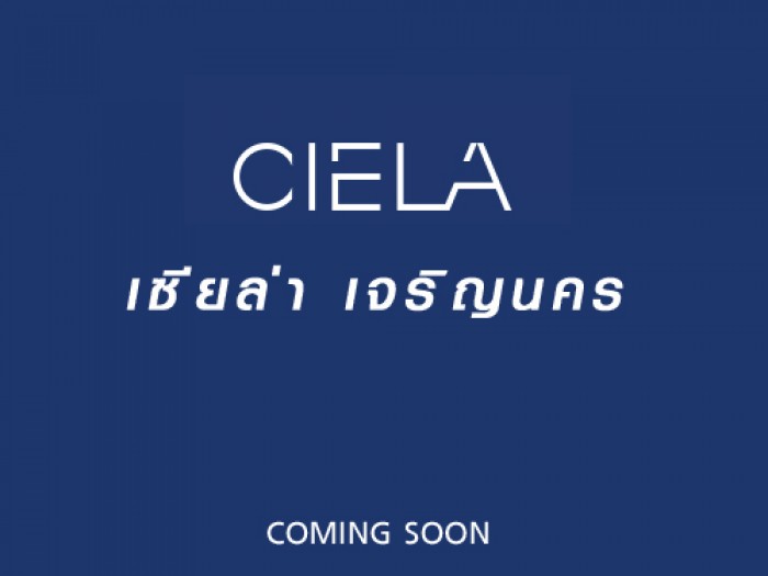 banner-project-details