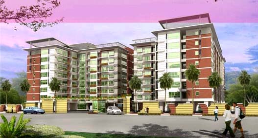 banner-project-details