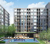 banner-project-details